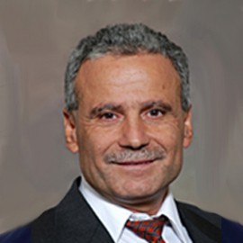 Prof. Salim Hariri 